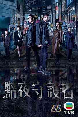 暗夜守护者（国语版）封面图