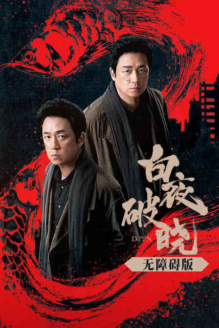 白夜破晓无障碍版封面图