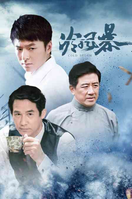 冷风暴封面图