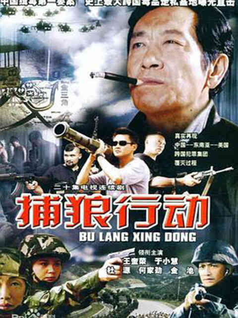 捕狼行动封面图