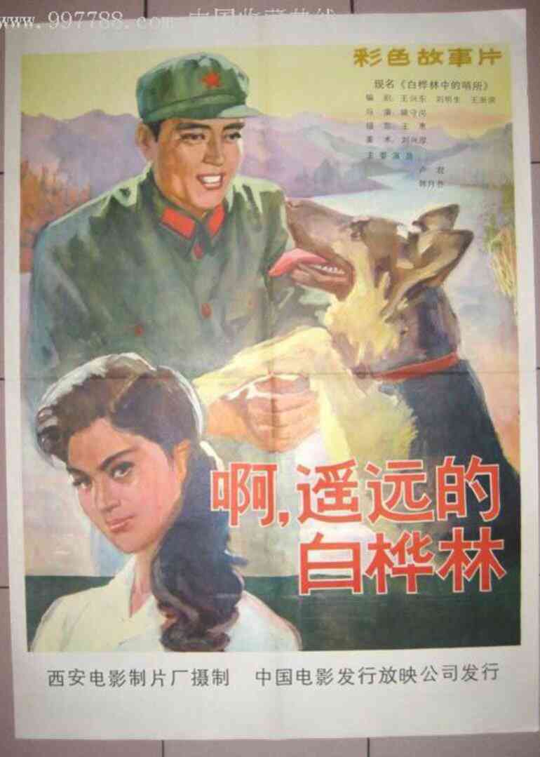 白桦林中的哨所封面图