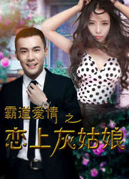 霸道爱情之恋上灰姑娘封面图