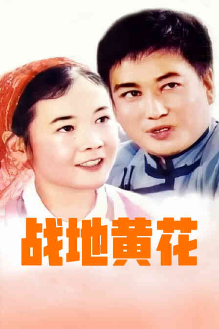 战地黄花封面图