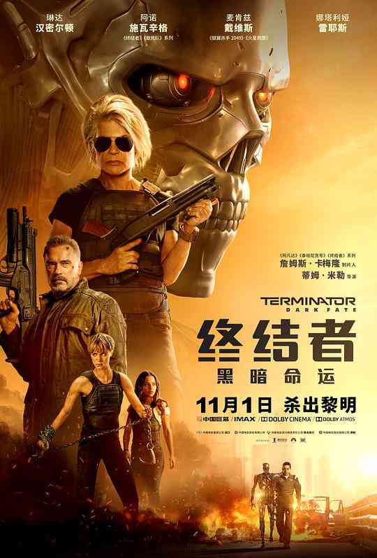 终结者：黑暗命运普通话版封面图