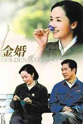 金婚2007封面图