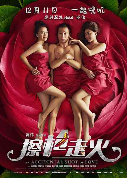 擦枪走火（2015）封面图