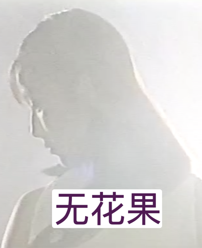 无花果（1996）封面图