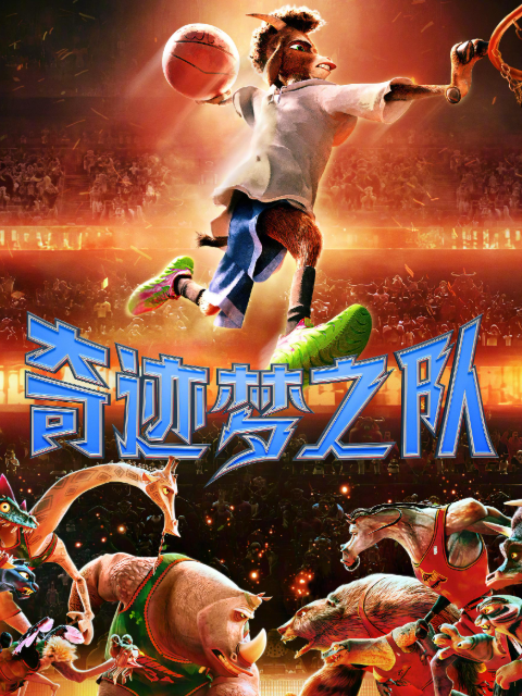 奇迹梦之队封面图